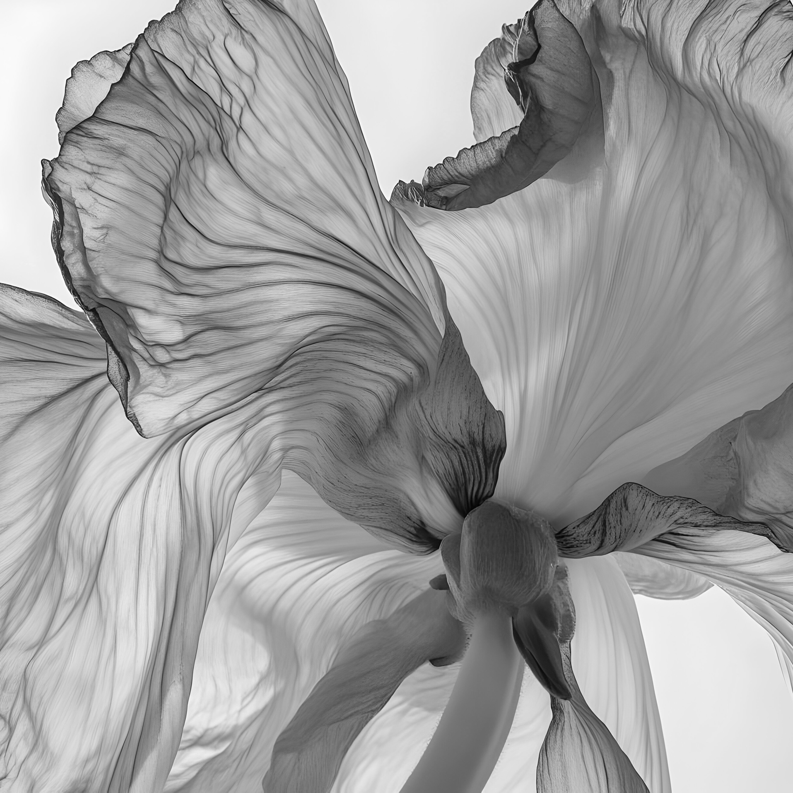 Musée de la Vie romantique